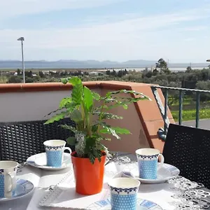 Rosa , SantʼAntìoco Italia